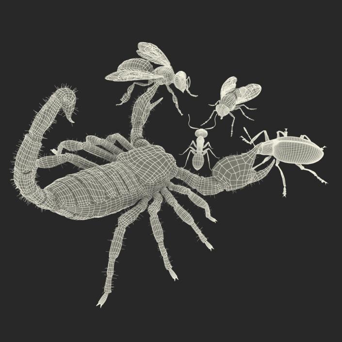 3D Insects Collection model