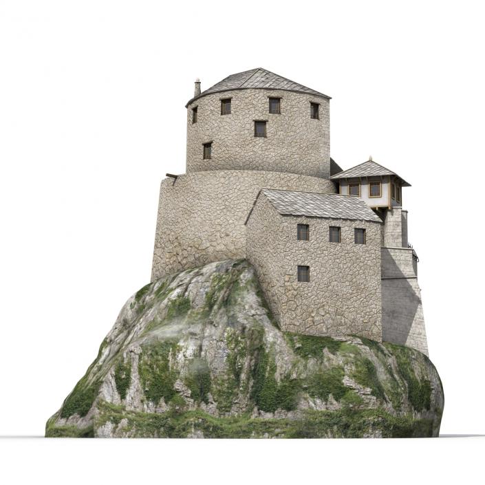 Old Castle on the Hill 3D