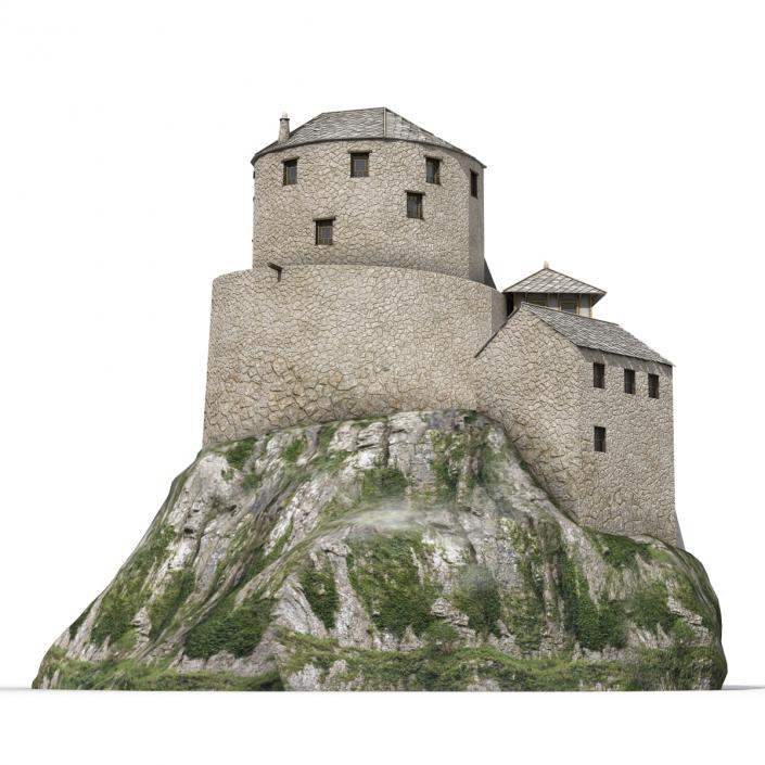 Old Castle on the Hill 3D