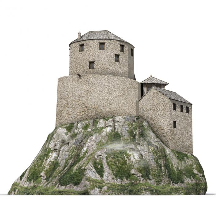 Old Castle on the Hill 3D