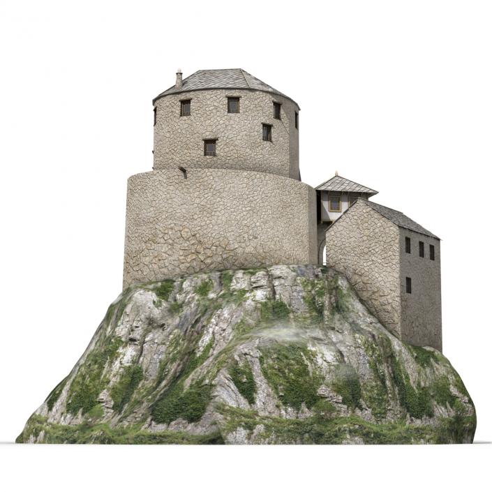 Old Castle on the Hill 3D