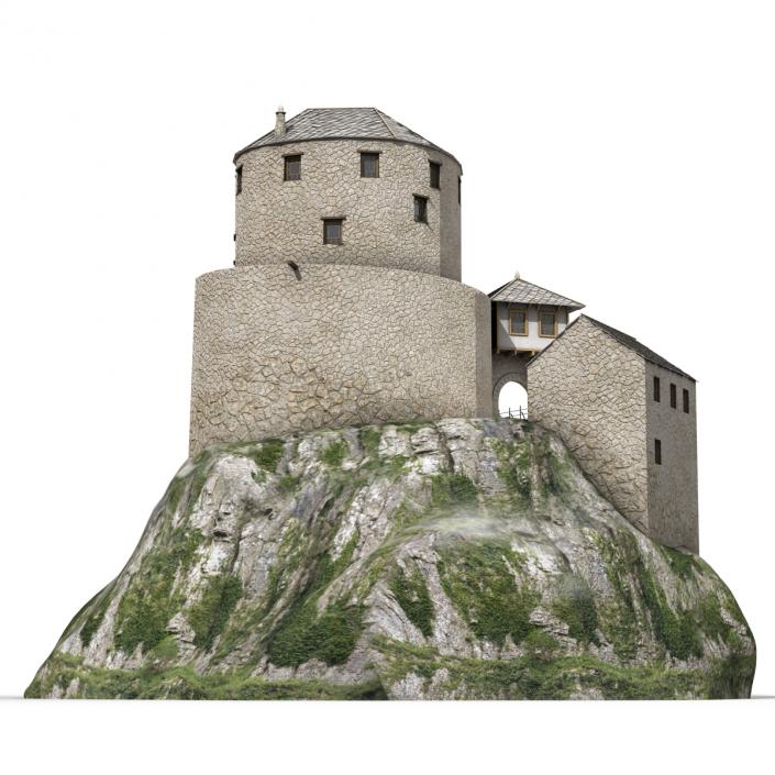 Old Castle on the Hill 3D