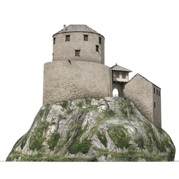 Old Castle on the Hill 3D