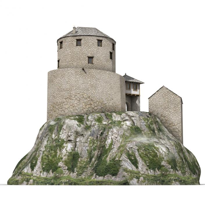 Old Castle on the Hill 3D