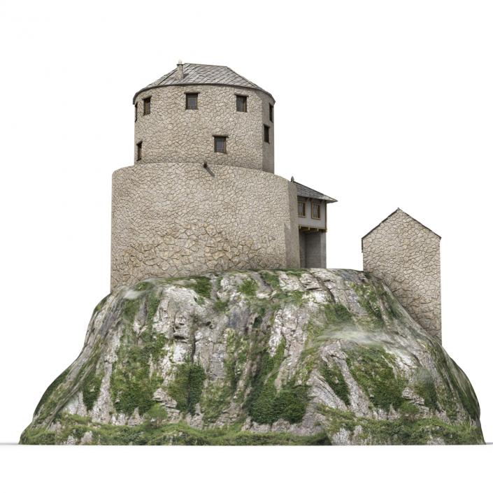 Old Castle on the Hill 3D