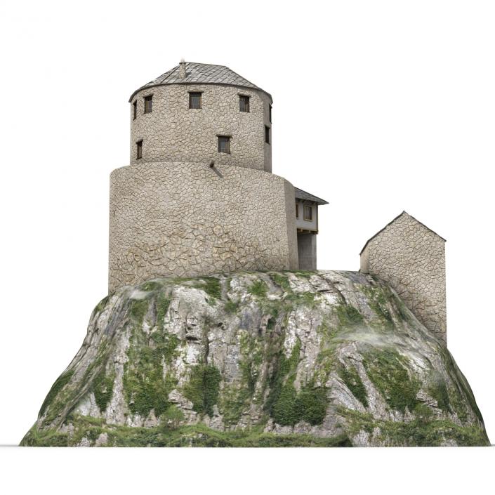 Old Castle on the Hill 3D