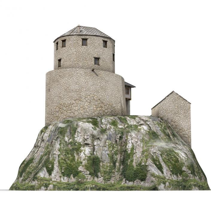 Old Castle on the Hill 3D