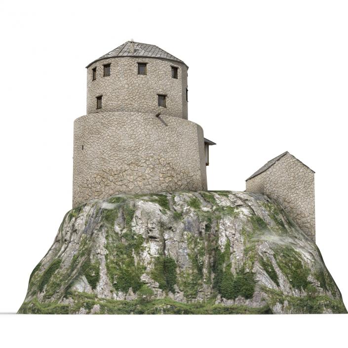 Old Castle on the Hill 3D