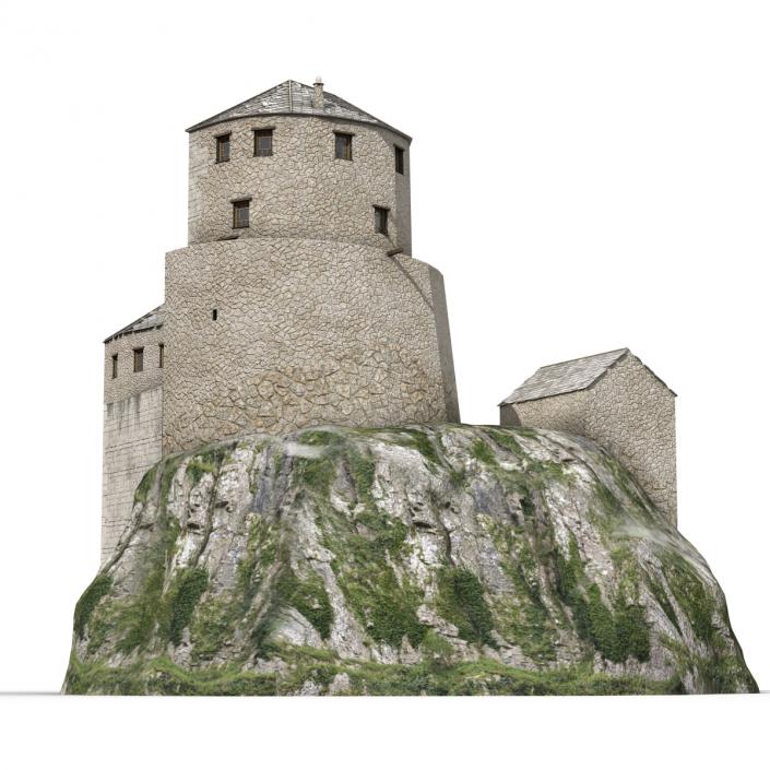 Old Castle on the Hill 3D