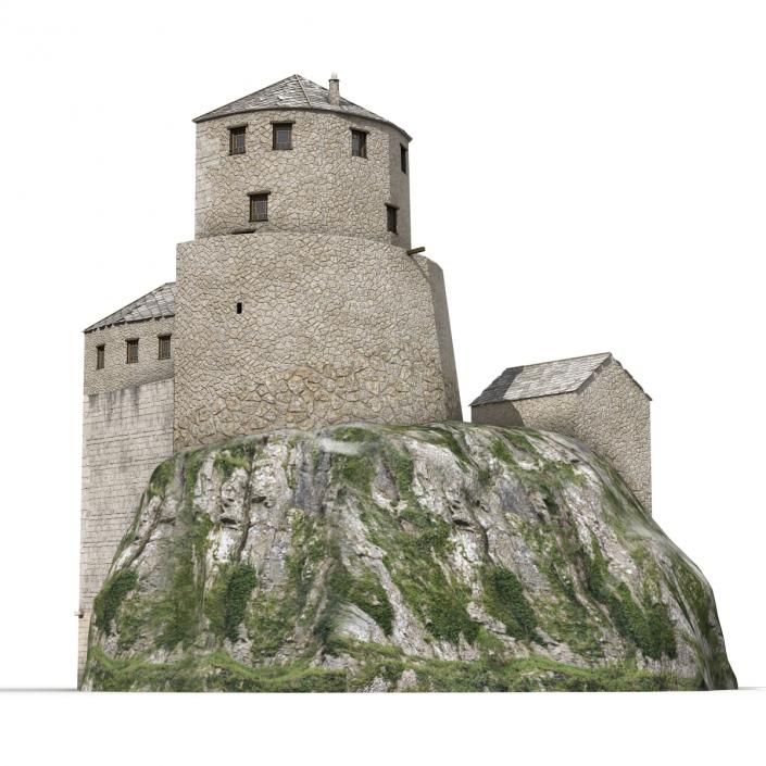 Old Castle on the Hill 3D