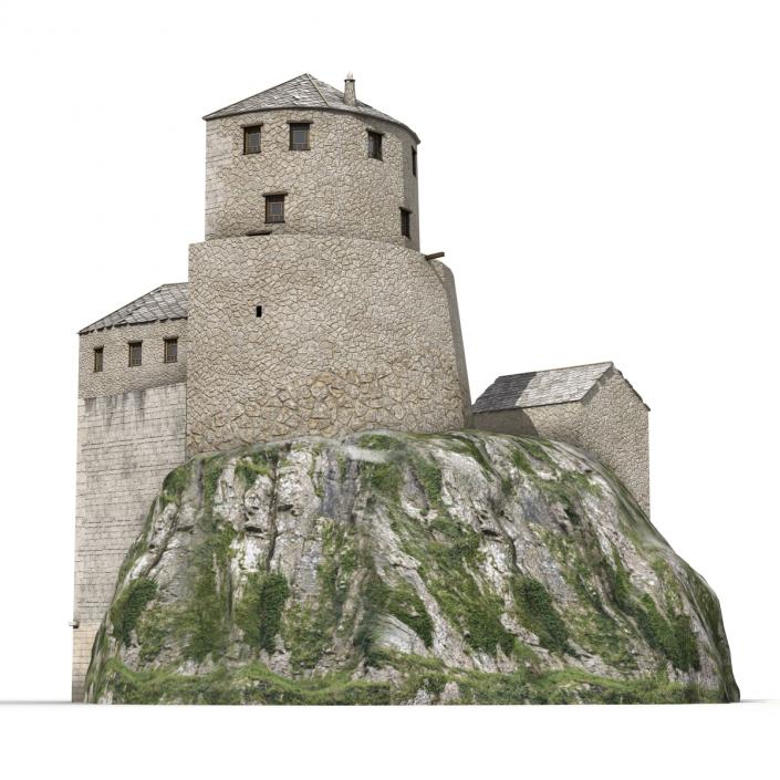 Old Castle on the Hill 3D