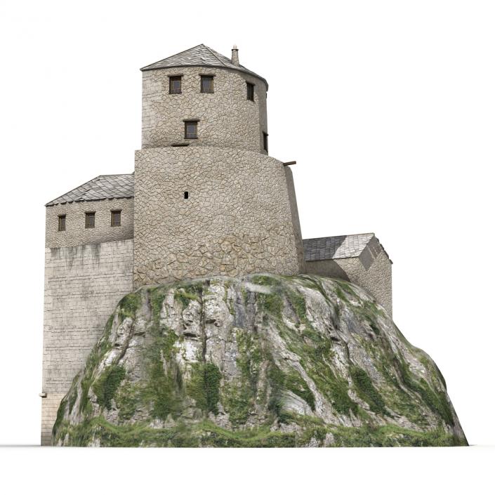 Old Castle on the Hill 3D