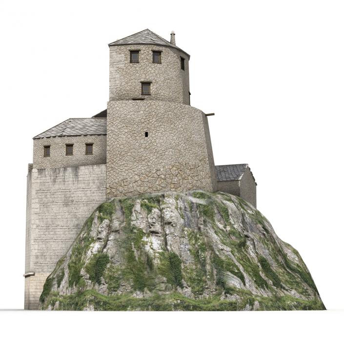 Old Castle on the Hill 3D