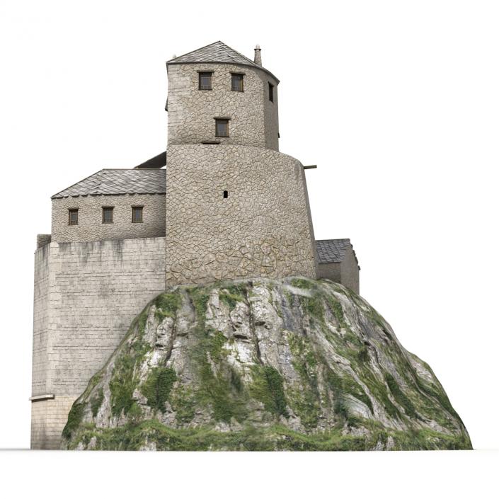 Old Castle on the Hill 3D