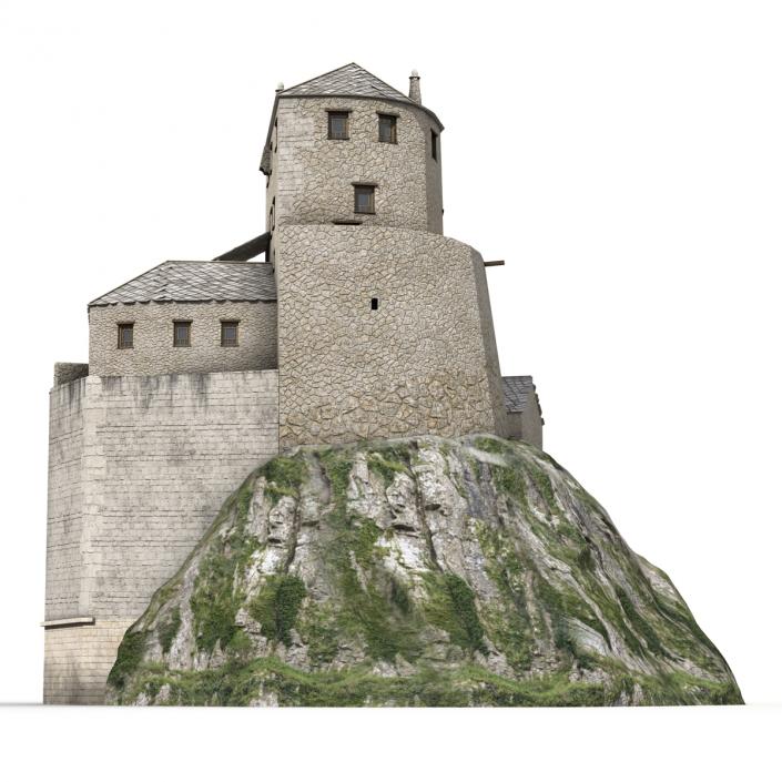 Old Castle on the Hill 3D