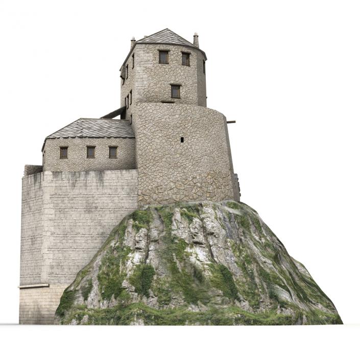 Old Castle on the Hill 3D