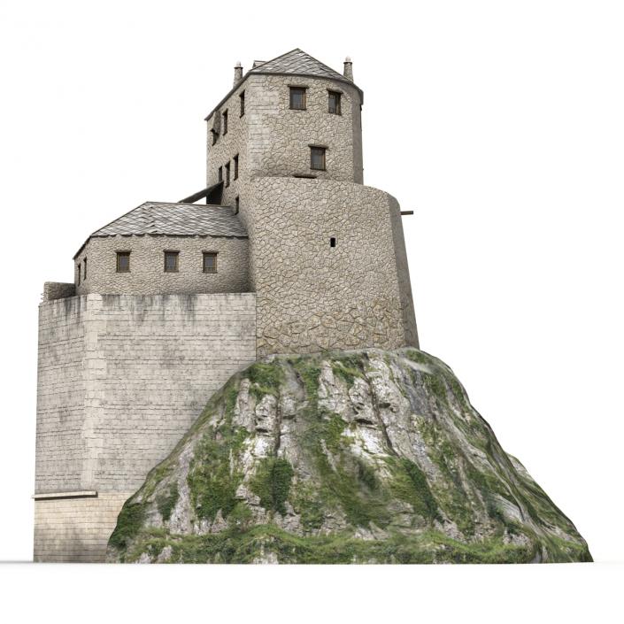 Old Castle on the Hill 3D