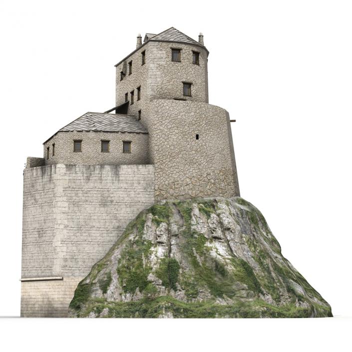 Old Castle on the Hill 3D