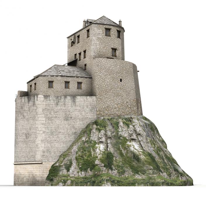 Old Castle on the Hill 3D