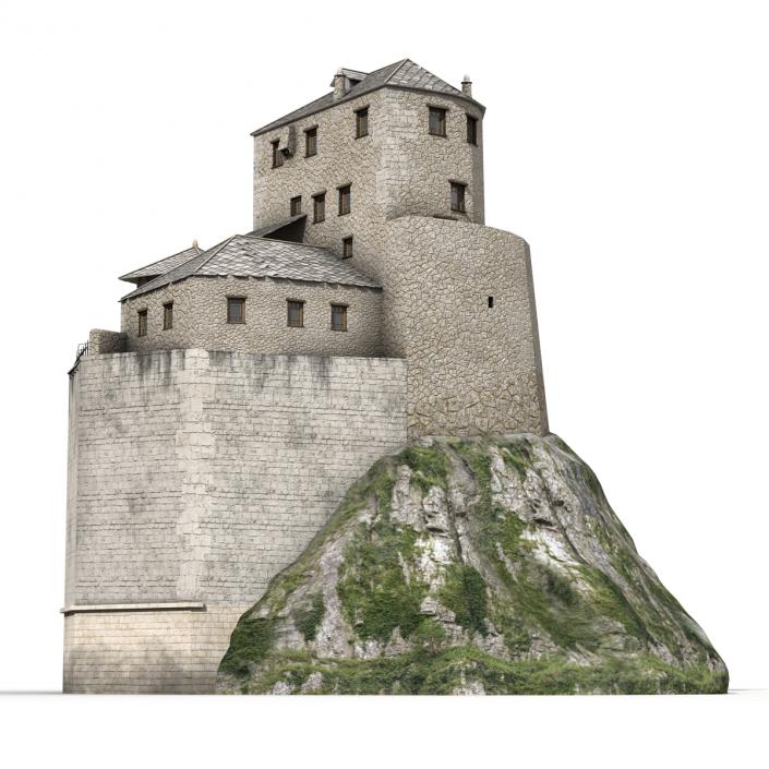 Old Castle on the Hill 3D