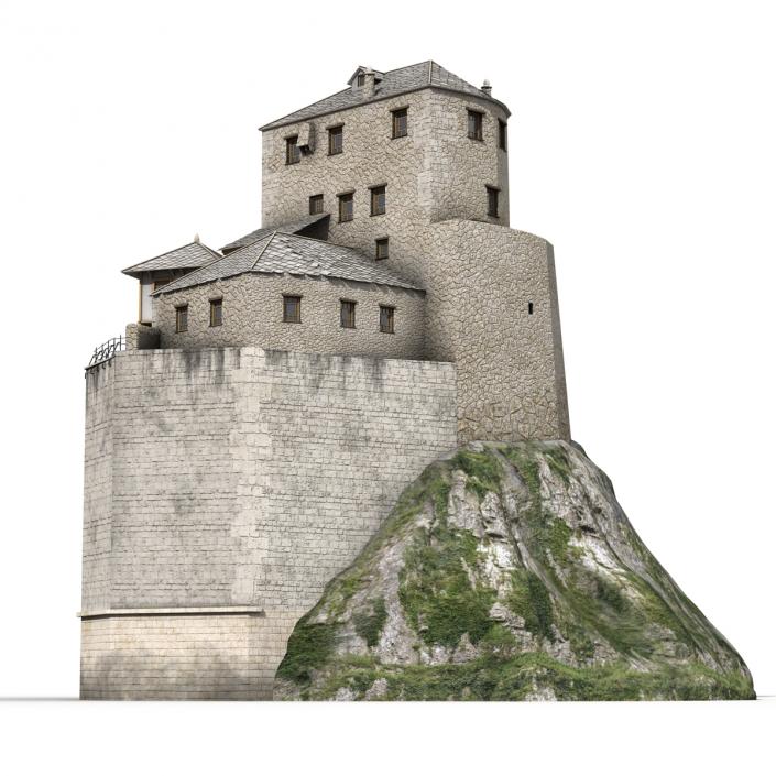 Old Castle on the Hill 3D