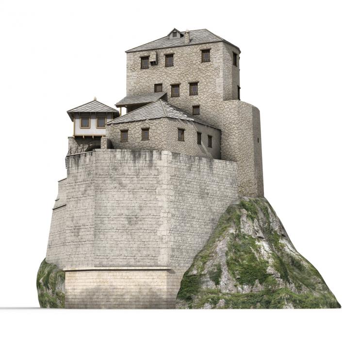 Old Castle on the Hill 3D