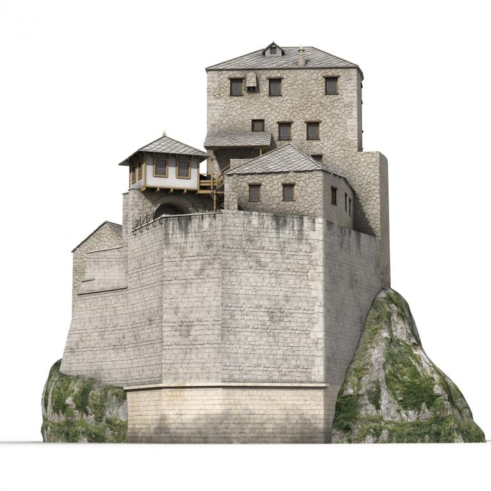 Old Castle on the Hill 3D