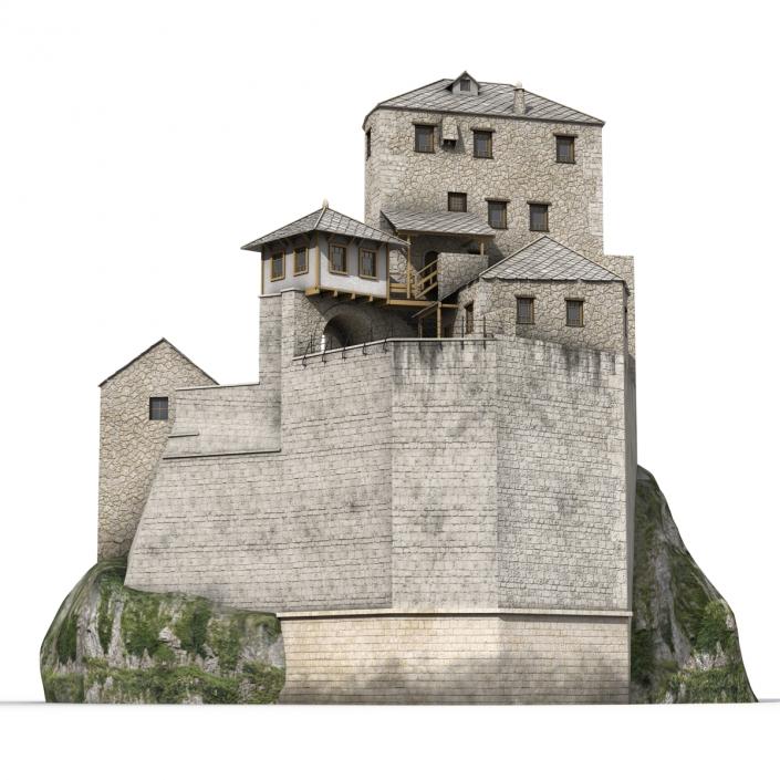 Old Castle on the Hill 3D