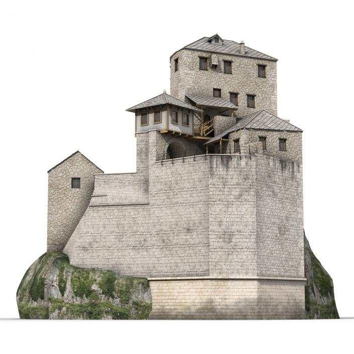 Old Castle on the Hill 3D