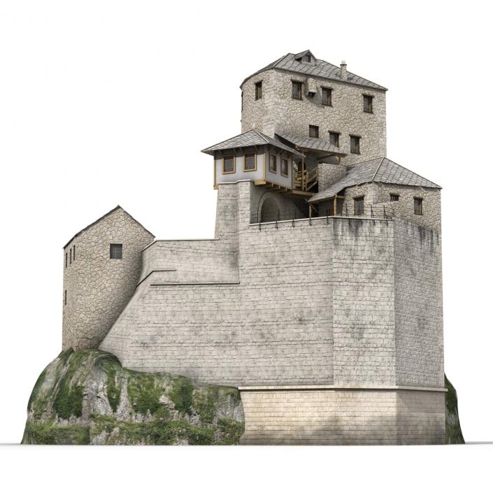 Old Castle on the Hill 3D