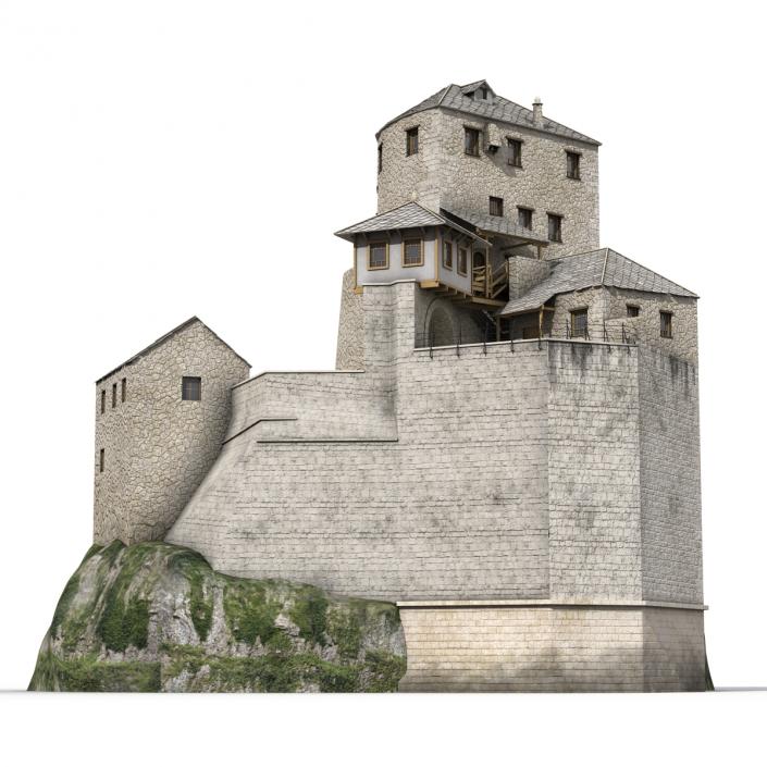 Old Castle on the Hill 3D