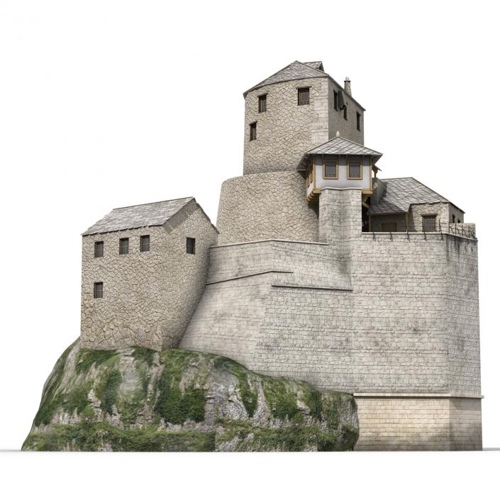 Old Castle on the Hill 3D