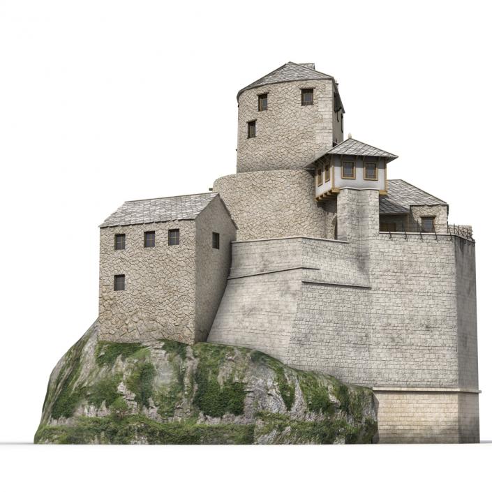 Old Castle on the Hill 3D