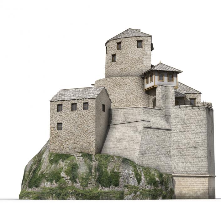 Old Castle on the Hill 3D