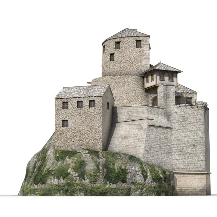 Old Castle on the Hill 3D