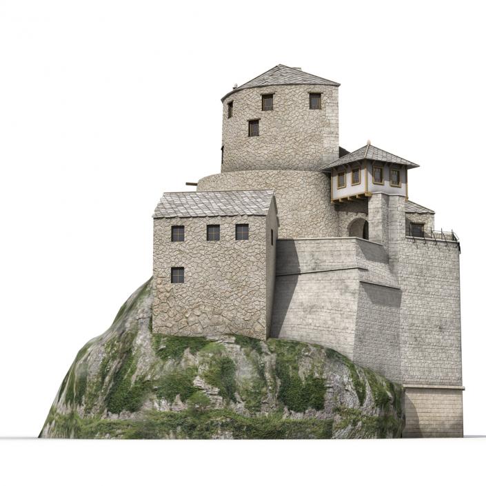 Old Castle on the Hill 3D