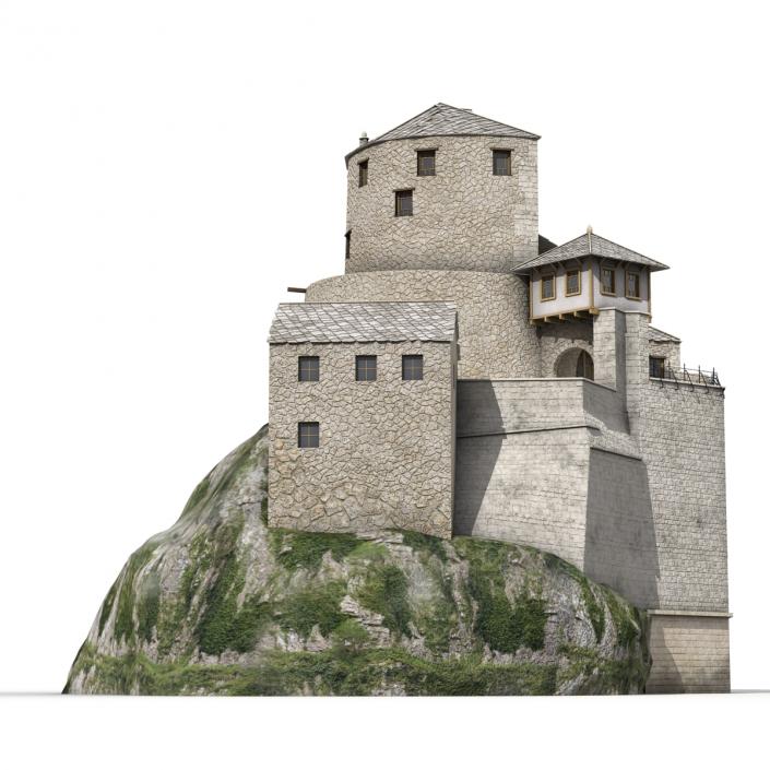 Old Castle on the Hill 3D