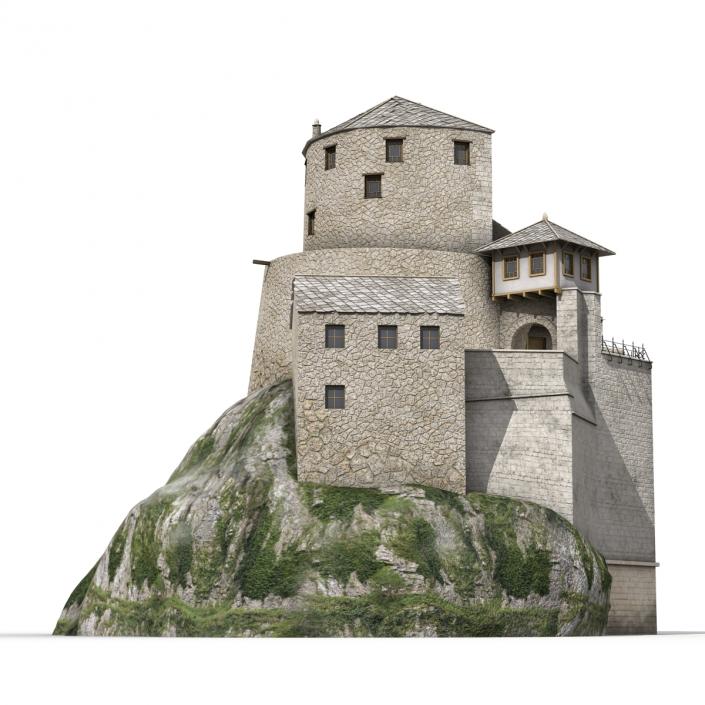 Old Castle on the Hill 3D