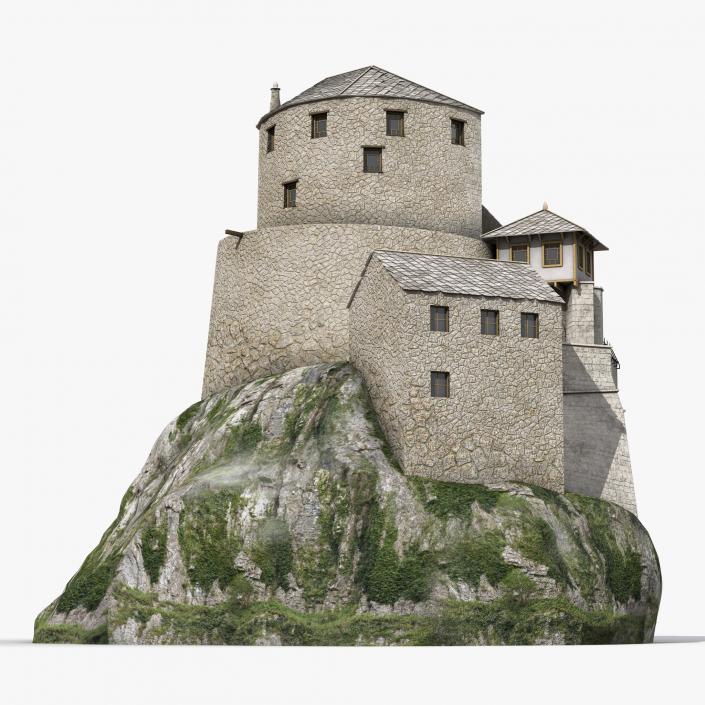 Old Castle on the Hill 3D