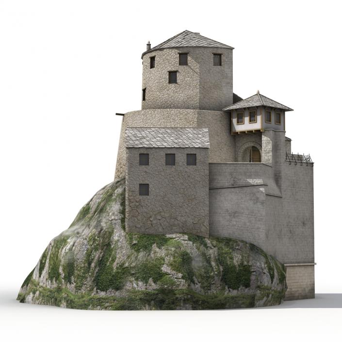 Old Castle on the Hill 3D