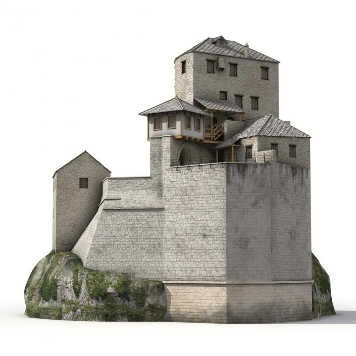 Old Castle on the Hill 3D