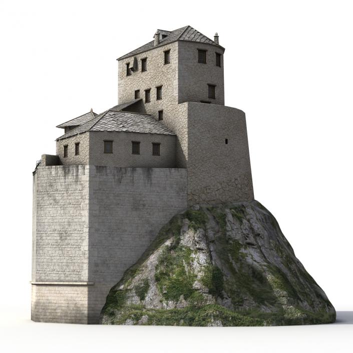 Old Castle on the Hill 3D