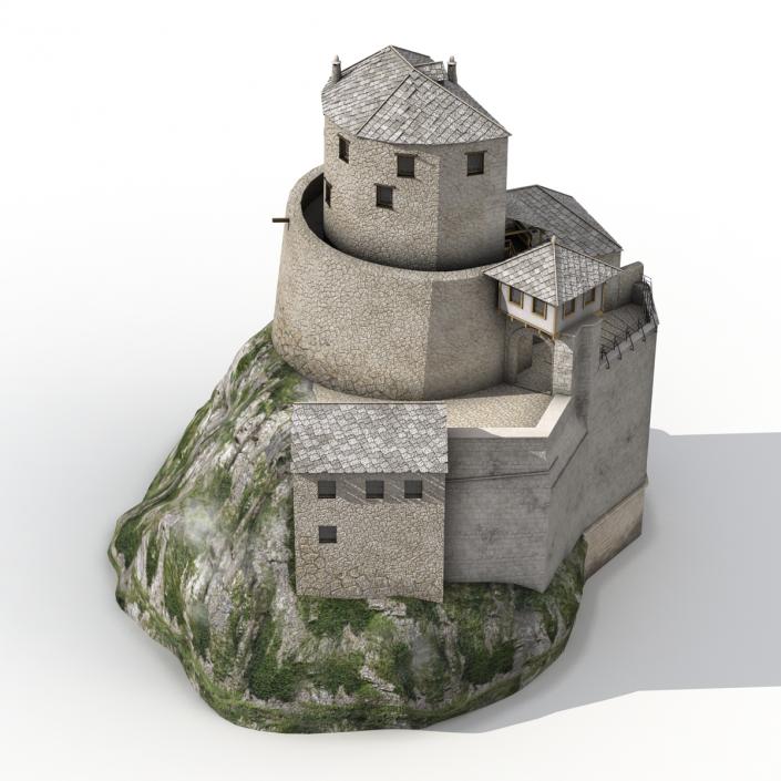 Old Castle on the Hill 3D