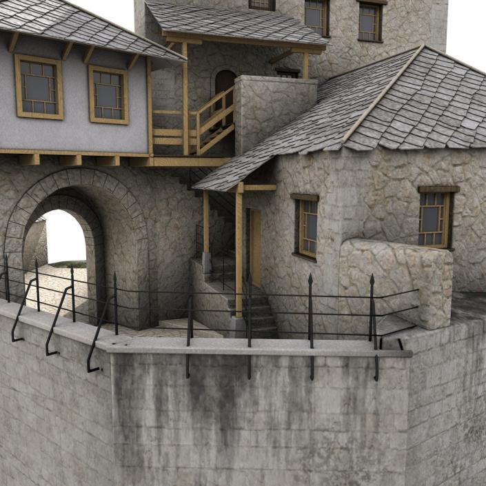 Old Castle on the Hill 3D