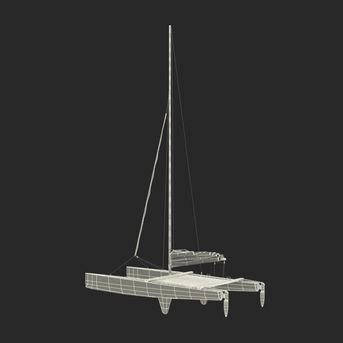 3D model Small Sail Catamaran