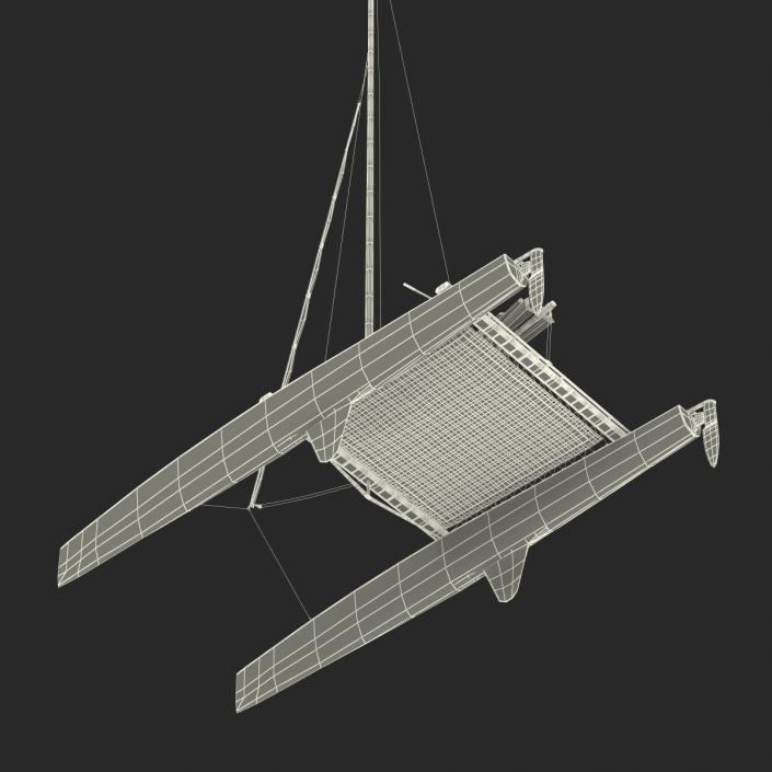 3D model Small Sail Catamaran