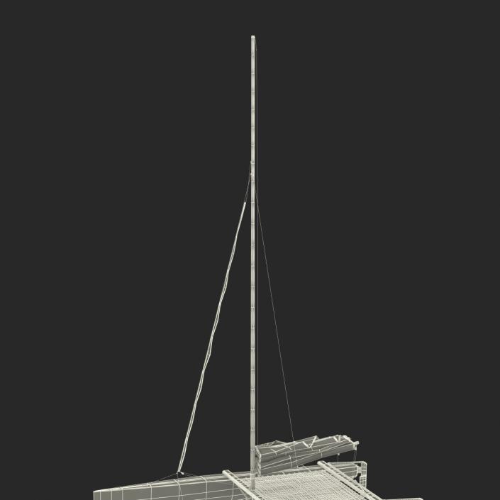 3D model Small Sail Catamaran