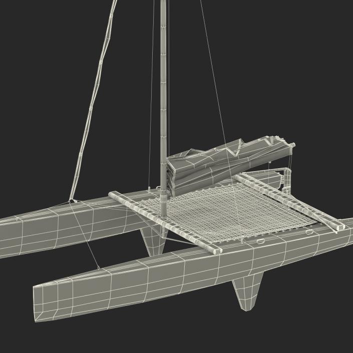 3D model Small Sail Catamaran