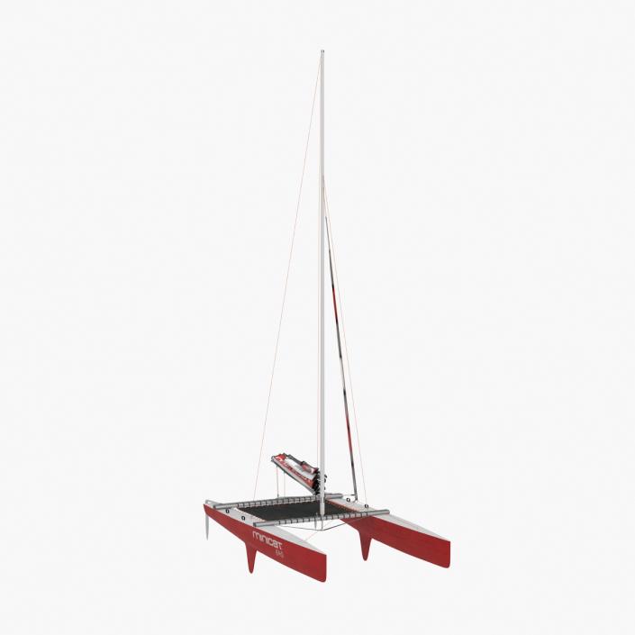 3D model Small Sail Catamaran