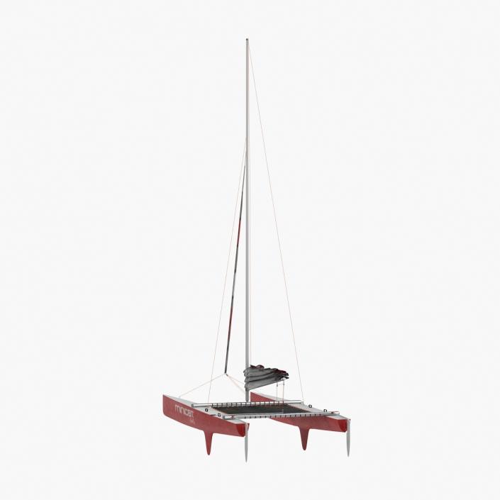 3D model Small Sail Catamaran